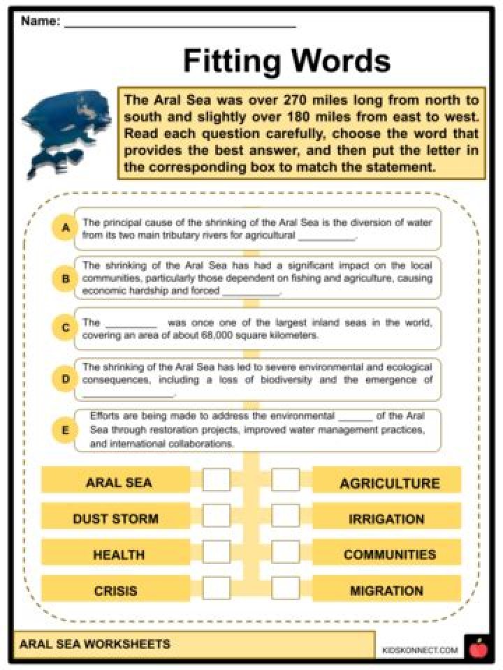 Discoveries And Insights In 